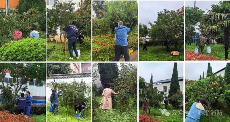 1760341127633480.jpg 640_wx_fmt=jpeg&from=appmsg&watermark=1&tp=webp&wxfrom=5&wx_lazy=1 (1).jpg